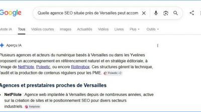 AI Overviews Google s'installe en France