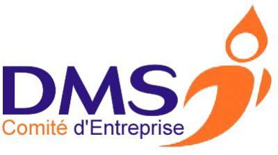 DMS Energies choisi NetPilote pour son site web de CE