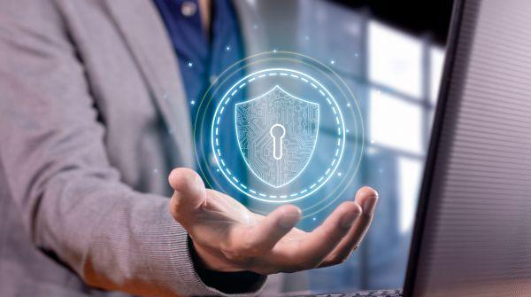 S&eacute;curiser un Nom de Domaine pour &eacute;viter les Cybermenaces