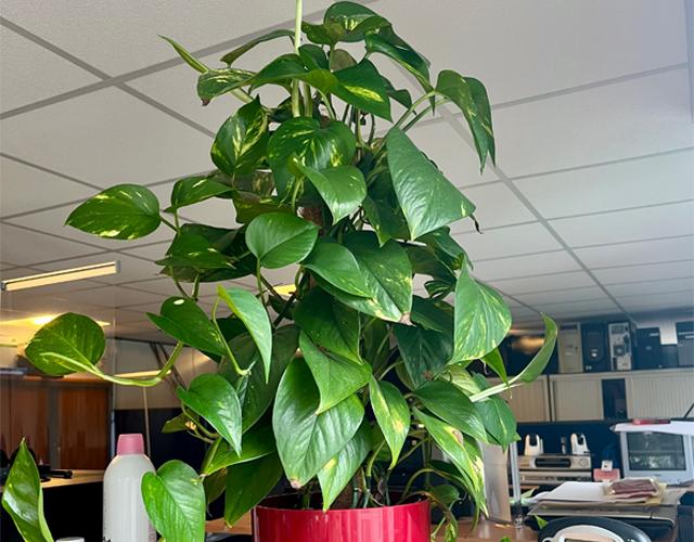 Cadre de vie au travail