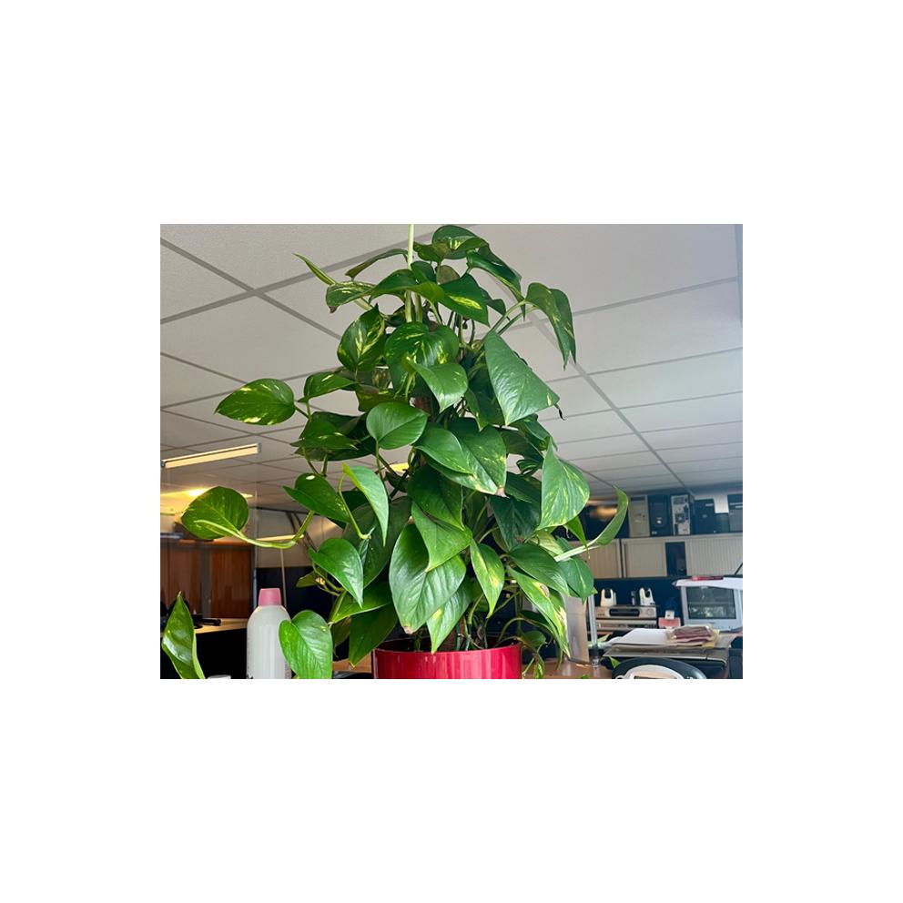 Cadre de vie au travail